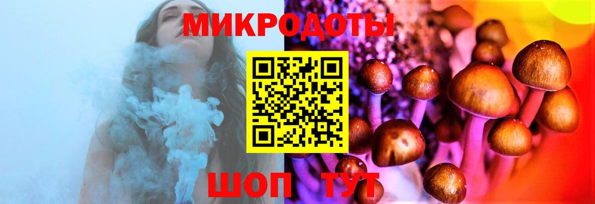 Галлюциногенные грибы прущие грибы  Вход с VPN  Нижнеудинск 